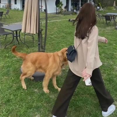 千金小妹要打工